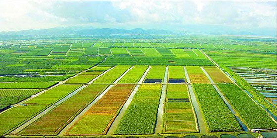 大田農業物聯網概述與特點